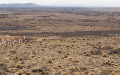 Santa Cruz: Australiana compra proyecto de plata en Santa Cruz