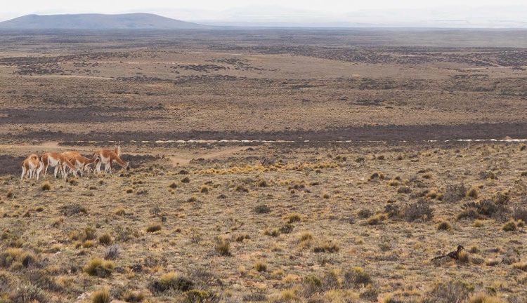 Santa Cruz: Australiana compra proyecto de plata en Santa Cruz