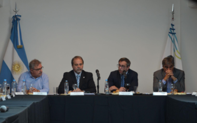 Organización de Estados Iberoamericanos: rol de Argentina en la transición energética